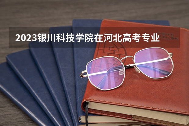 2023银川科技学院在河北高考专业计划招生多少人