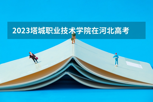 2023塔城职业技术学院在河北高考专业计划招生多少人