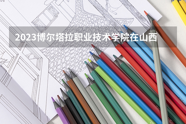 2023博尔塔拉职业技术学院在山西高考专业计划招生多少人
