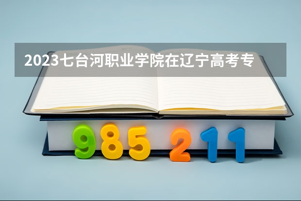 2023七台河职业学院在辽宁高考专业计划招生多少人