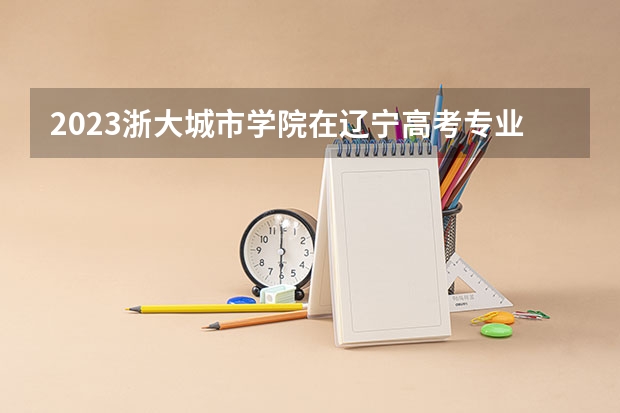 2023浙大城市学院在辽宁高考专业计划招生多少人