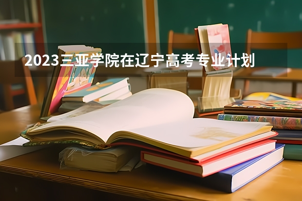 2023三亚学院在辽宁高考专业计划招生多少人