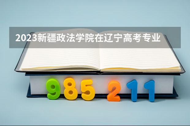2023新疆政法学院在辽宁高考专业计划招生多少人