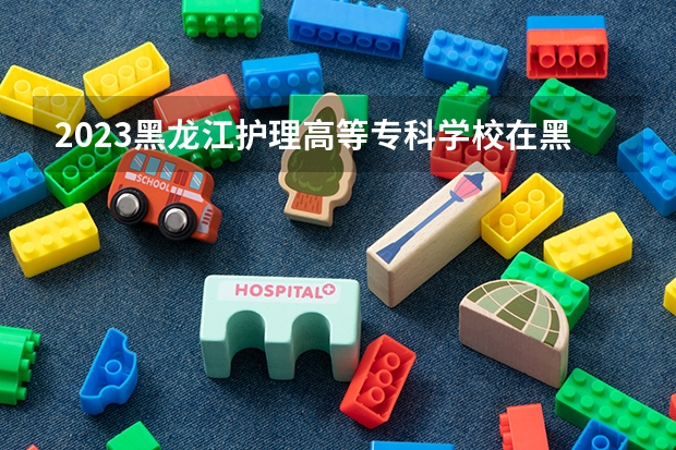 2023黑龙江护理高等专科学校在黑龙江高考专业计划招生多少人