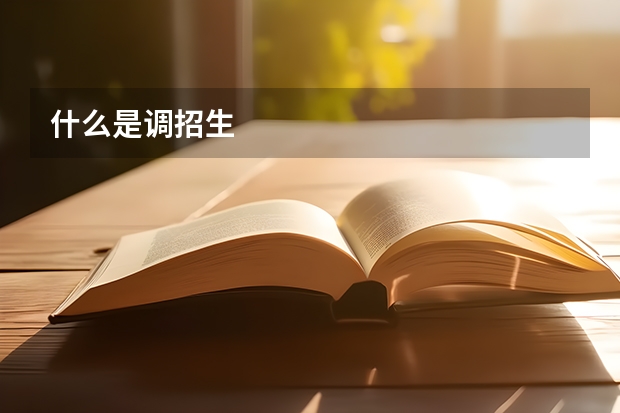 什么是调招生