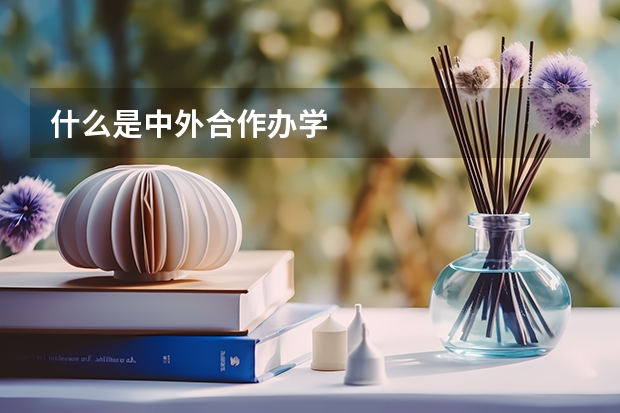 什么是中外合作办学