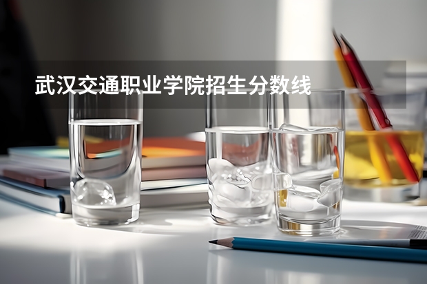 武汉交通职业学院招生分数线