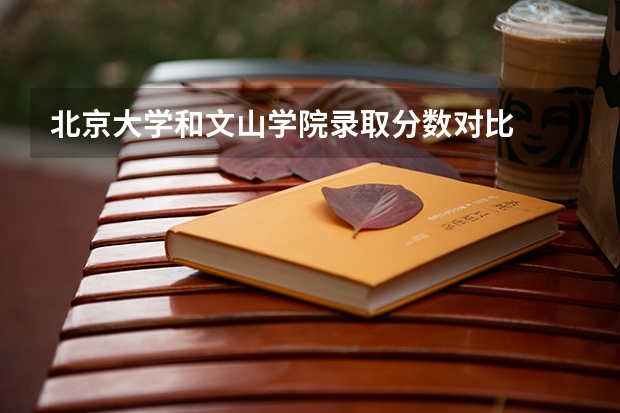 北京大学和文山学院录取分数对比