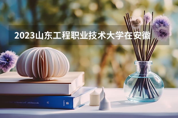 2023山东工程职业技术大学在安徽高考专业计划招生多少人