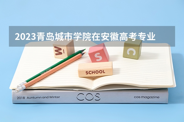 2023青岛城市学院在安徽高考专业计划招生多少人