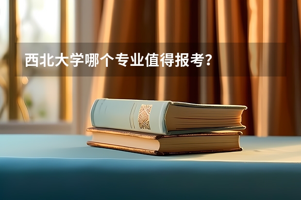 西北大学哪个专业值得报考？