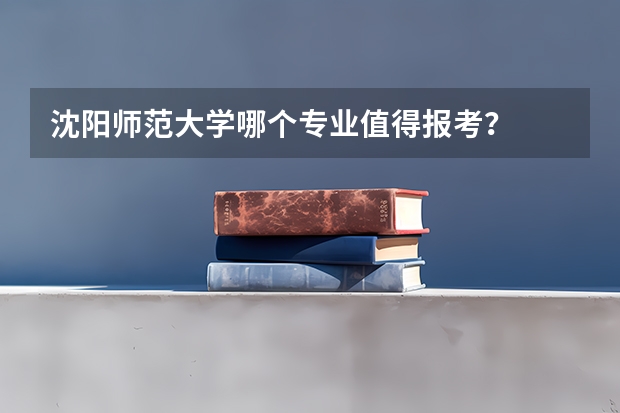 沈阳师范大学哪个专业值得报考?