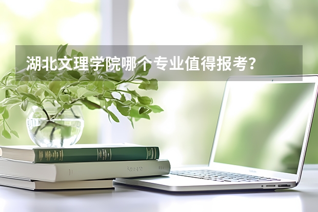 湖北文理学院哪个专业值得报考?