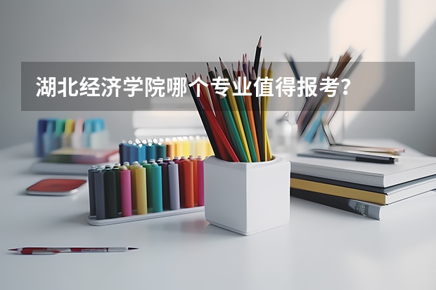 湖北经济学院哪个专业值得报考？