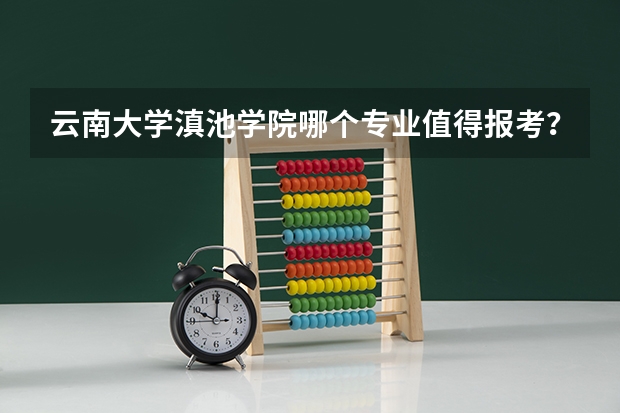 云南大学滇池学院哪个专业值得报考？