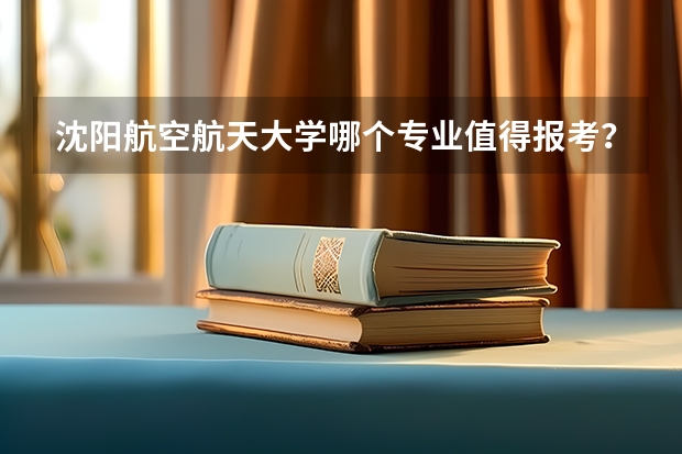 沈阳航空航天大学哪个专业值得报考？