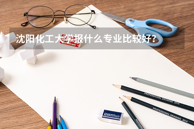 沈阳化工大学报什么专业比较好？