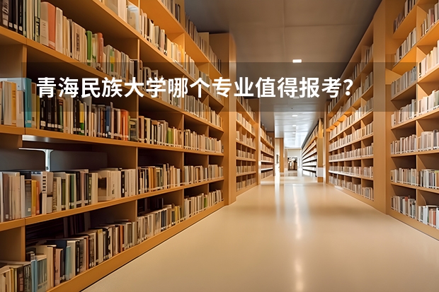 青海民族大学哪个专业值得报考？