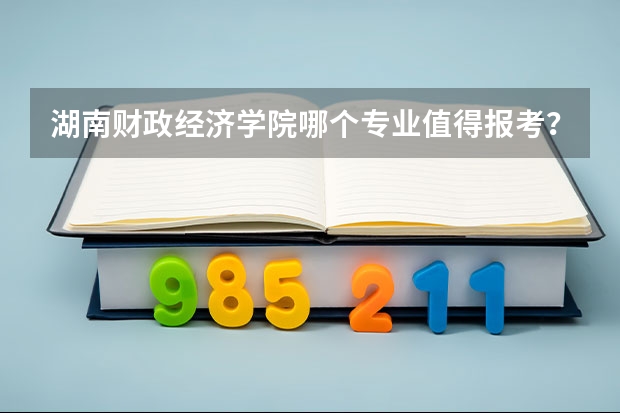 湖南财政经济学院哪个专业值得报考？