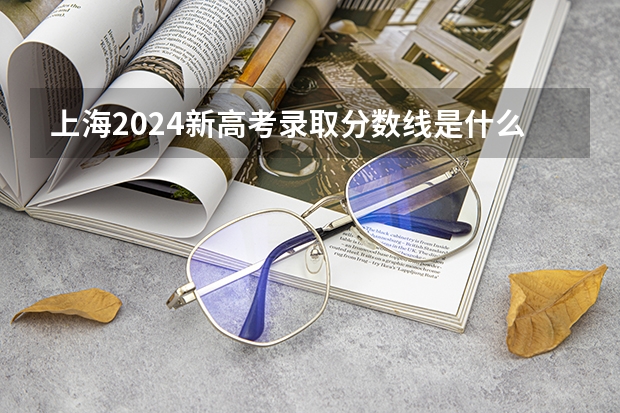 上海2024新高考录取分数线是什么？