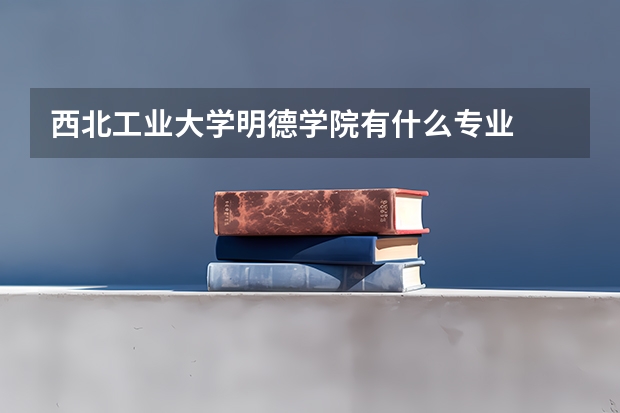 西北工业大学明德学院有什么专业