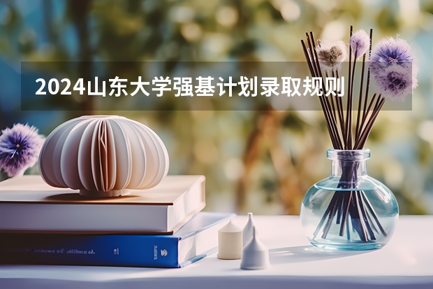 2024山东大学强基计划录取规则