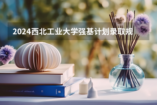 2024西北工业大学强基计划录取规则
