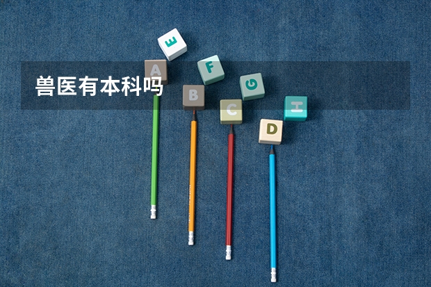 兽医有本科吗