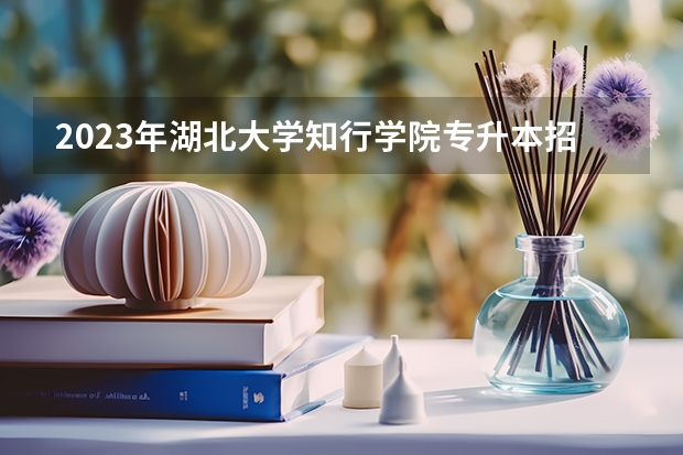 2023年湖北大学知行学院专升本招生专业对照表 内蒙古师范大学统招专升本考试招生对应专业目录?
