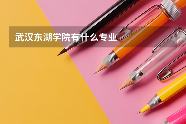 武汉东湖学院有什么专业