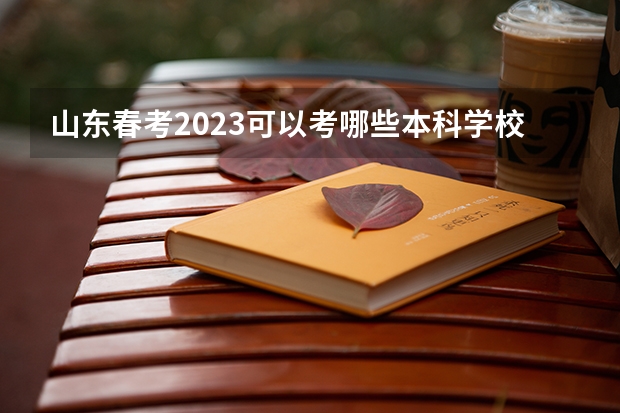 山东春考2023可以考哪些本科学校