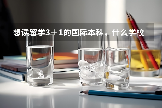 想读留学3＋1的国际本科，什么学校的好？