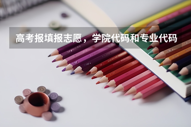 高考报填报志愿，学院代码和专业代码怎么找？在线等.急急急急！