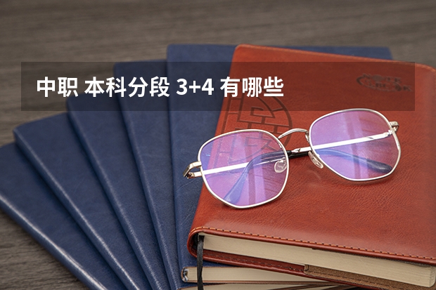 中职 本科分段 3+4 有哪些