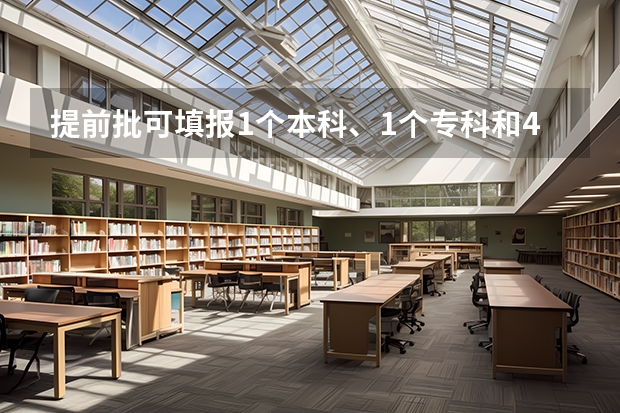 提前批可填报1个本科、1个专科和4个是否服从调剂院校志愿这句话是什么意思啊?我山东的。
