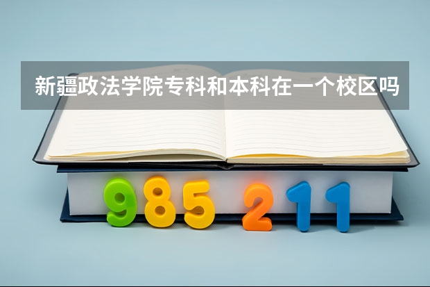 新疆政法学院专科和本科在一个校区吗
