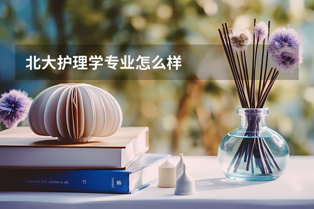 北大护理学专业怎么样