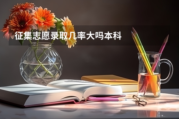 征集志愿录取几率大吗本科