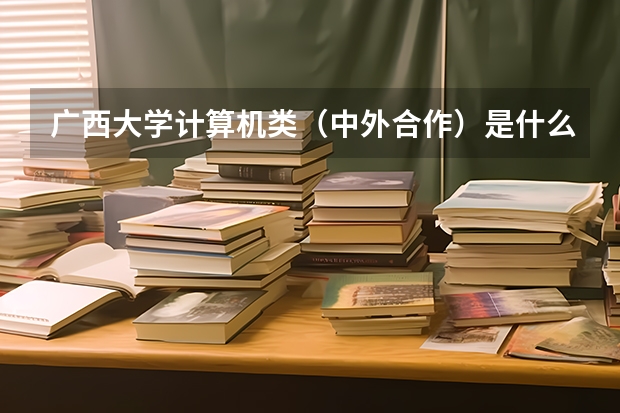 广西大学计算机类（中外合作）是什么，填志愿