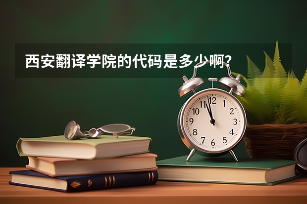 西安翻译学院的代码是多少啊？
