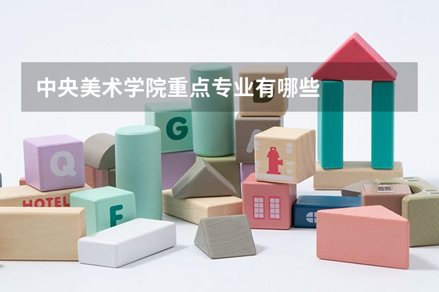 中央美术学院重点专业有哪些