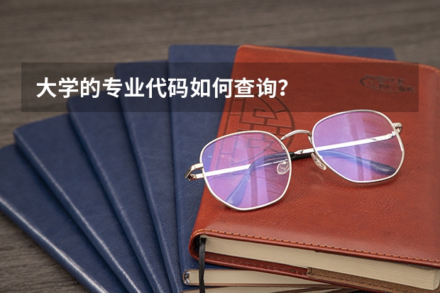 大学的专业代码如何查询？
