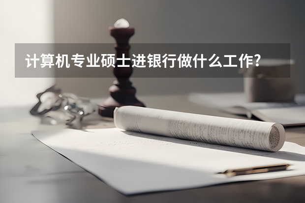 计算机专业硕士进银行做什么工作?