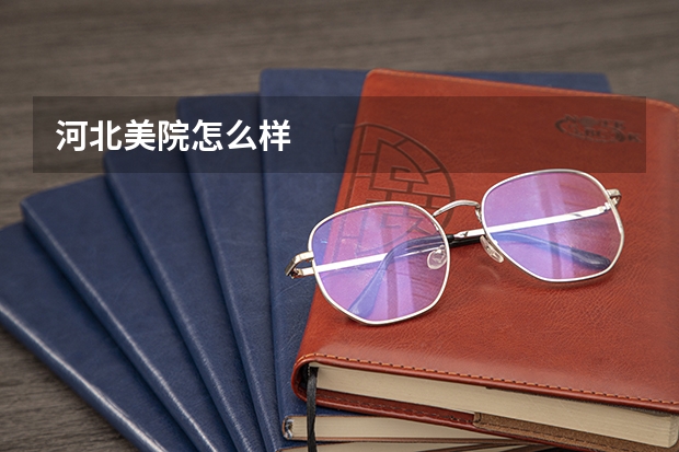 河北美院怎么样