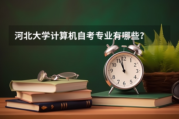 河北大学计算机自考专业有哪些?