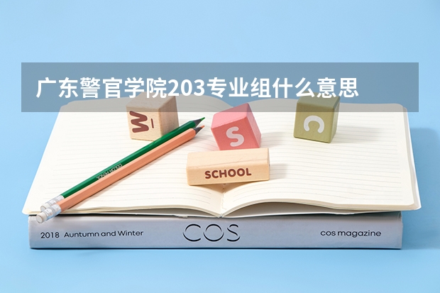 广东警官学院203专业组什么意思