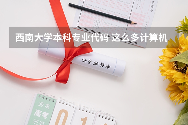 西南大学本科专业代码 这么多计算机专业的比较