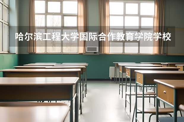 哈尔滨工程大学国际合作教育学院学校代码是多少