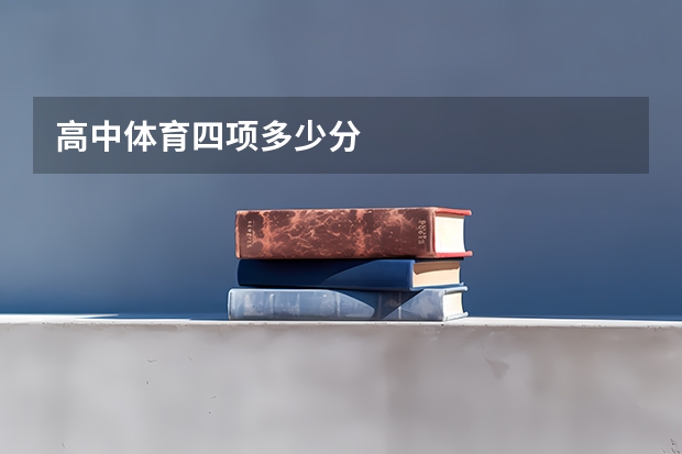 高中体育四项多少分