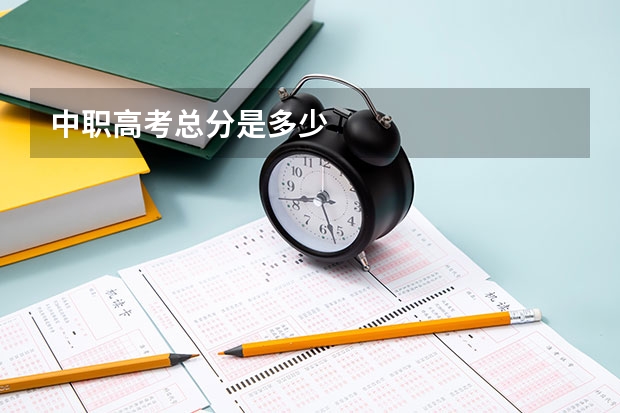 中职高考总分是多少